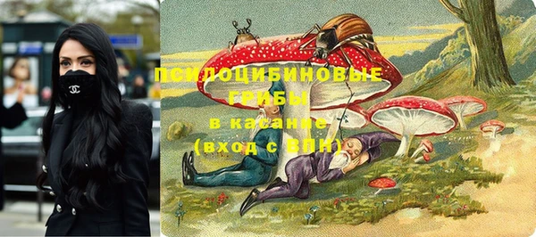 марки lsd Рославль