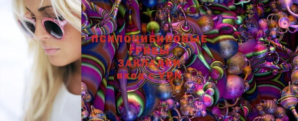 спайс Осташков
