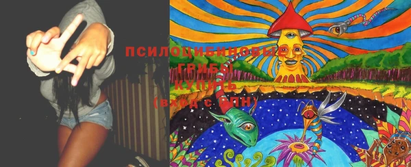 молекула духа Богородск