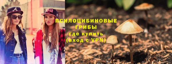 спиды Россошь