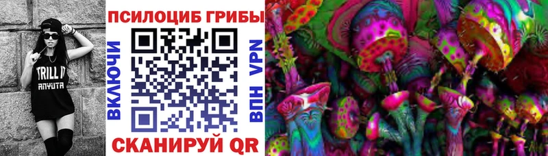 дарнет шоп  Сорск  KRAKEN рабочий сайт  Псилоцибиновые грибы прущие грибы 